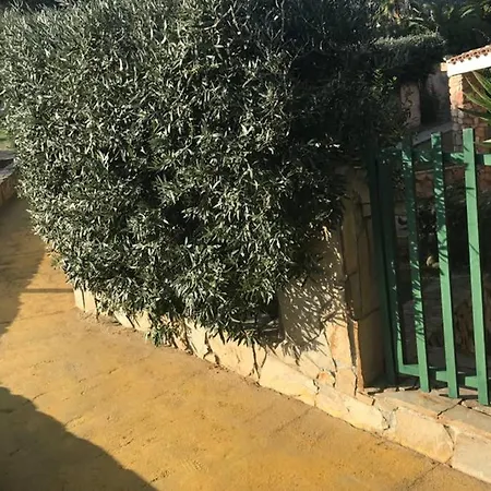 Fiorella فيلاّسيمِيوس